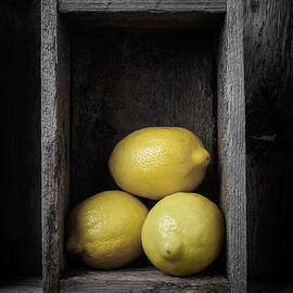 Lemons Still Life by Edward Fielding