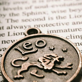 Leo the token lion by Jorgo Photography