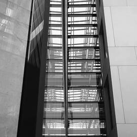 Library Skyway by Rona Black