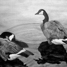 Life Mates by David Vincenzi