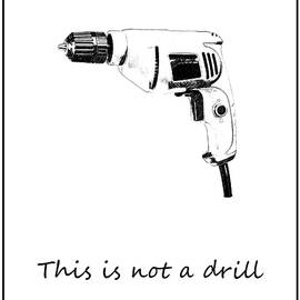 Life - This is Not A Drill by Richard Reeve