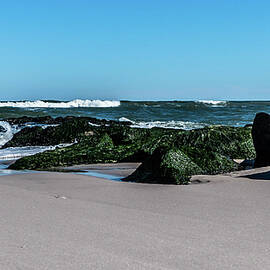 Lifes A Beach by Louis Dallara