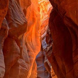 Lighting The Way Underground by Adam Jewell