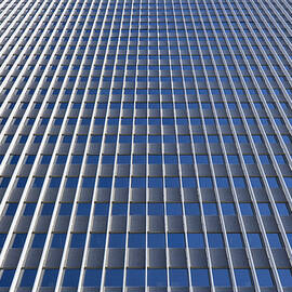 Linear by Kelley King