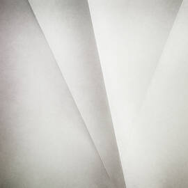 Lines on Paper by Scott Norris