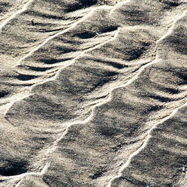 Lines on the Beach by David Shuler