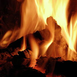 Log fire by Sami Sarkis Photography