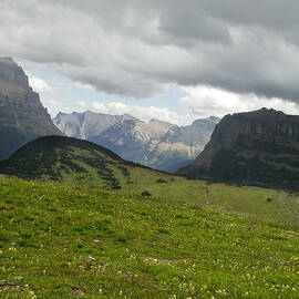 Logan Pass Glacier National Park by Waterdancer