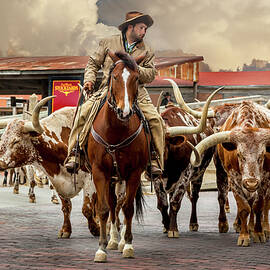Longhorn Parade by Kelley King