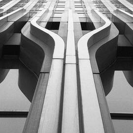 Look Up a Twin Tower by Darcy Michaelchuk