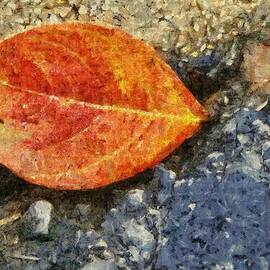 Loose Leaf by Jeffrey Kolker