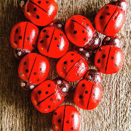 Love bug by Jorgo Photography