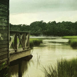 Low Country by Gina Harrison