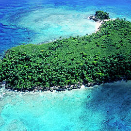Lush foliage on Mosso Island in Vanuatu by Sami Sarkis Photography