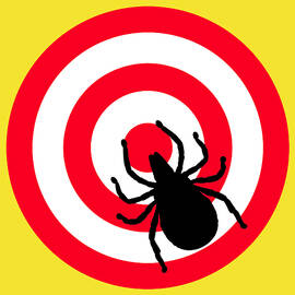 Lyme Disease Ixodes Tick on Target by Richard Reeve