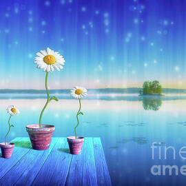 Magic of summer by Veikko Suikkanen