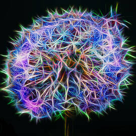 Magic Puff by Bill and Linda Tiepelman