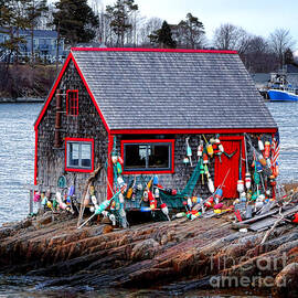 Maine Lobster Shack by Olivier Le Queinec