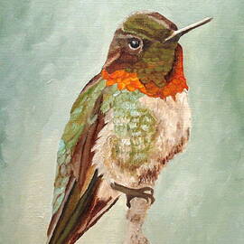 Male Ruby-throated Hummingbird by Angeles M Pomata