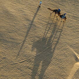 Man leading two camels with tourists at sunset by Sami Sarkis Photography