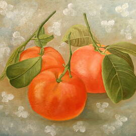 Mandarins by Angeles M Pomata