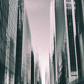 Manhattan Metropolis by Jessica Jenney