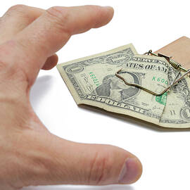 Man's hand about to catch dollar banknote on mousetrap by Sami Sarkis Photography
