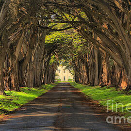 Marconi Station Cypres Tunnel by Adam Jewell