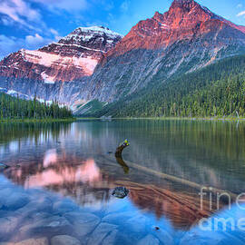 Maroon Morning At Edith Cavell by Adam Jewell