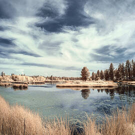 Marshlands in Washington by Jon Glaser