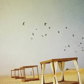 Massage booths on a foggy beach by Carlos Caetano