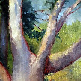 Massive Summer Oak by Catherine Twomey