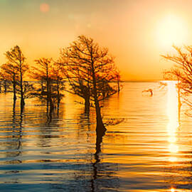 Mattamuskeet Sunrise 9103 by Dan Beauvais