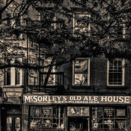 McSorley's Old Ale House NYC BW by Susan Candelario