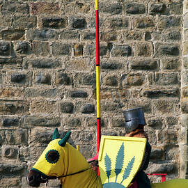 Medieval knight on his horse during a show in Carcassonne by Sami Sarkis Photography