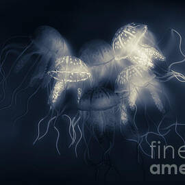 Medusas light by Jorgo Photography