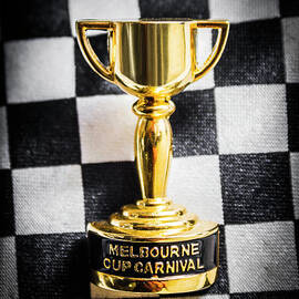 Melbourne cup pin on mens chequered fashion tie by Jorgo Photography