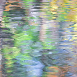 Merced River Reflections 9 by Larry Marshall