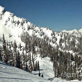 MId Winter On The Fernie Slopes by Adam Jewell