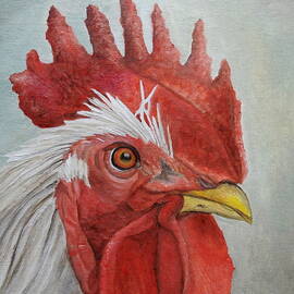 Mister Rooster by Angeles M Pomata