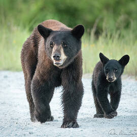 Mom and Me 1627 by Dan Beauvais