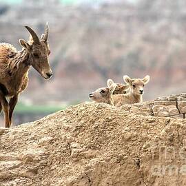 Mom Leading The Way by Adam Jewell