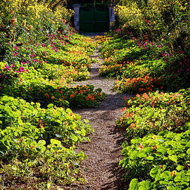 Monet Garden Path  by Olivier Le Queinec