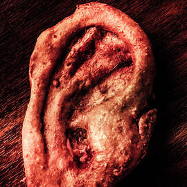 Monster donation by Jorgo Photography