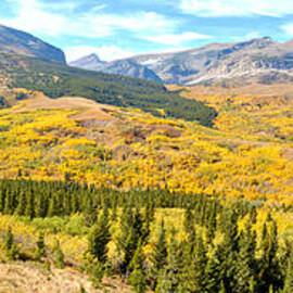 Montana 49 Fall Foliage by Adam Jewell
