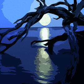 Moonlight Magic by AM FineArtPrints