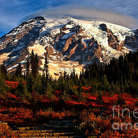 Morning Glory At Mt. Rainier by Adam Jewell