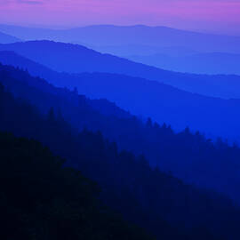 Morning Light by Andrew Soundarajan