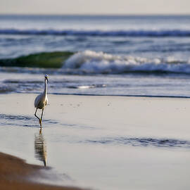 Morning Walk At Ormond Beach by Steven Sparks