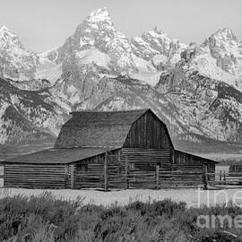 Moulton Barn Black And White by Adam Jewell